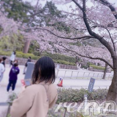 新潟人妻デリヘル 一夜妻(イチヤヅマ) れいな/S嬢(31)の4月15日写メブログ「言い訳させて下さい🙏🏻」