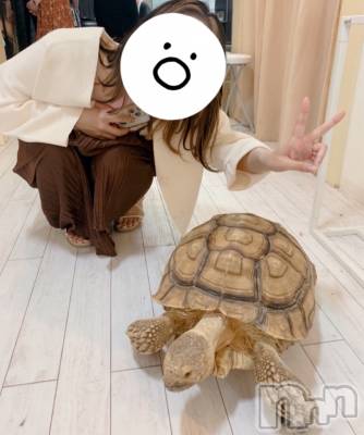 新潟デリヘル 新潟人妻デリバリーヘルス 下心 ～したごころ～(シタゴコロ) れいな奥様(33)の4月24日写メブログ「ただいま！！！」