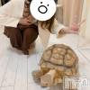 新潟人妻デリヘル 一夜妻(イチヤヅマ) れいな/S嬢(31)の4月14日写メブログ「次回出勤予定とお知らせ💁‍♀️」
