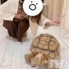 新潟人妻デリヘル 一夜妻(イチヤヅマ) れいな/S嬢(31)の8月9日写メブログ「自分の機嫌は自分で取れってなあ❤️‍🩹」