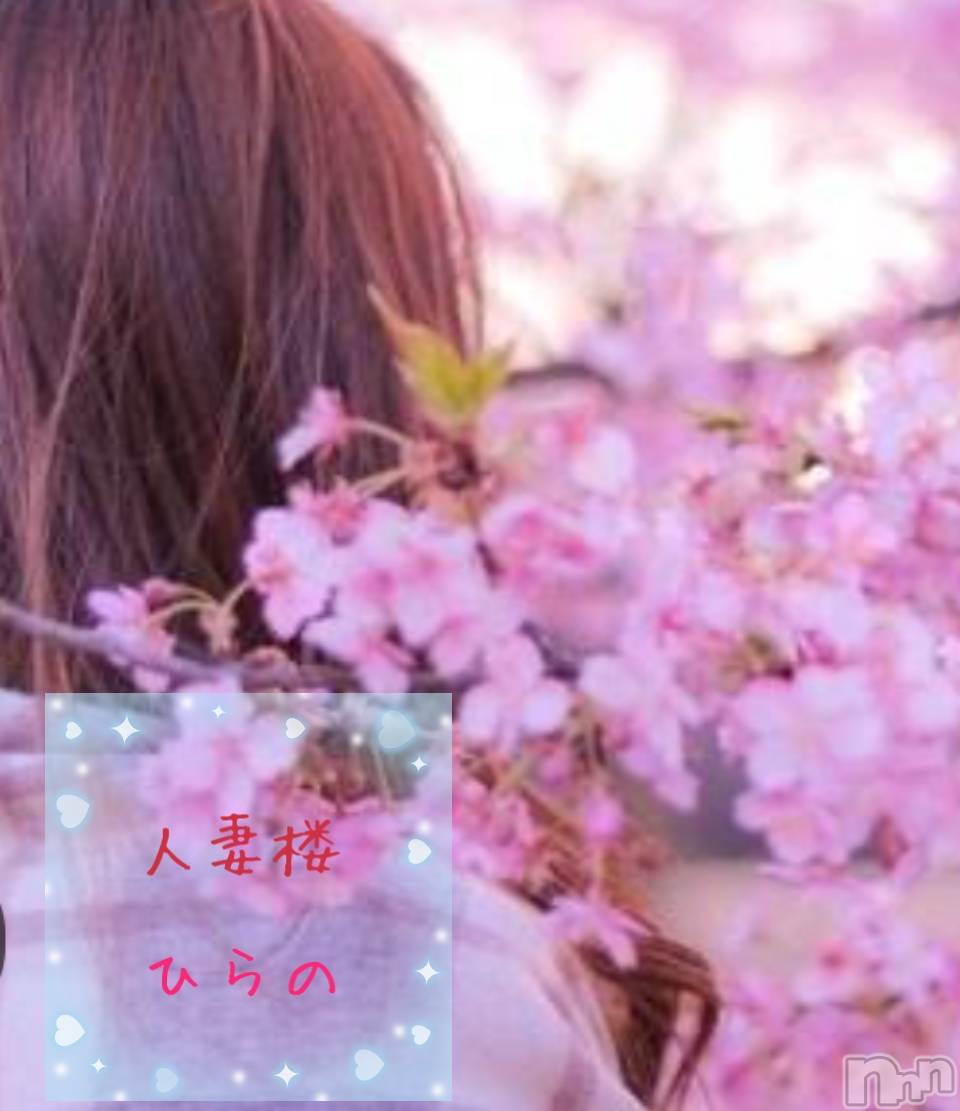 新潟人妻デリヘル人妻楼　新潟店(ヒトヅマロウ　ニイガタテン)平野(33)の2023年4月3日写メブログ「Good Morning♪」