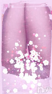 新潟人妻デリヘル 人妻楼　新潟店(ヒトヅマロウ　ニイガタテン) 平野(33)の1月29日写メブログ「こんにちは♪」