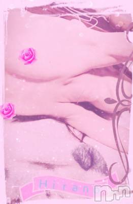 新潟デリヘル 人妻楼　新潟店(ヒトヅマロウ　ニイガタテン) 平野(33)の3月19日写メブログ「cherry blossom」