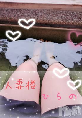 新潟人妻デリヘル 人妻楼　新潟店(ヒトヅマロウ　ニイガタテン) 平野(33)の6月13日写メブログ「６月最後…かな？」