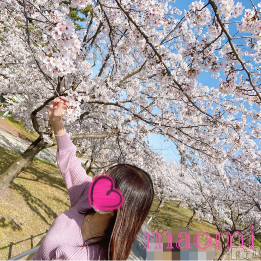 新潟デリヘルNiCHOLA(ニコラ) まおみ(28)の4月3日写メブログ「お花見♡」