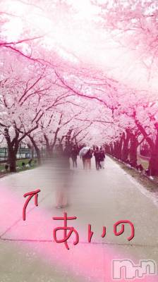 上越デリヘル 上越風俗出張アロママッサージ(ジョウエツフウゾクシュッチョウアロママッサージ) 新人☆あいの(29)の4月6日写メブログ「桜より広島焼きのﾒﾝｽﾞに目を奪われた今年のお花見」