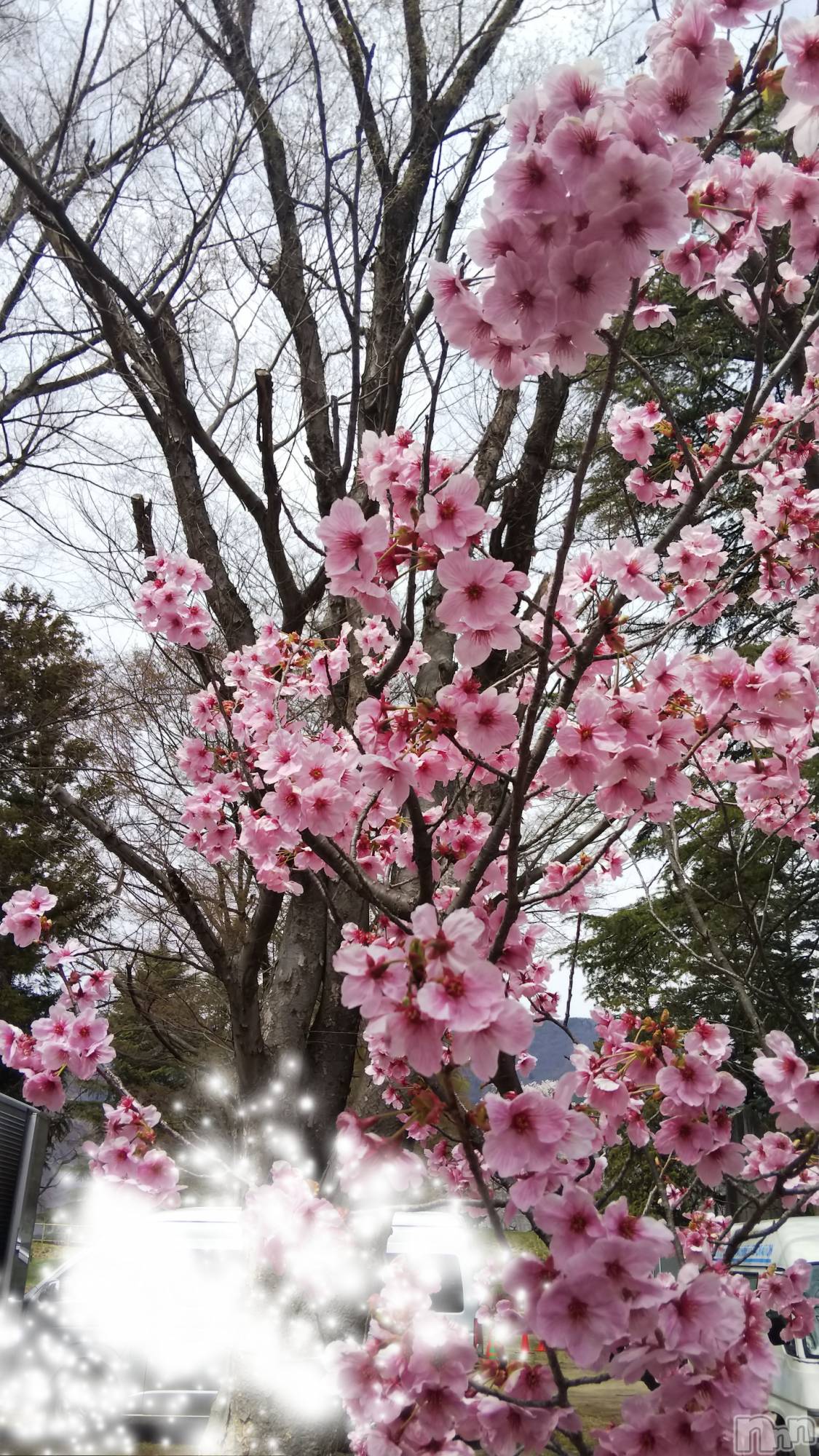 長野デリヘル恋のリフレイン(コイノリフレイン)ゆきな(30)の2019年4月18日写メブログ「4月18日 12時19分のブログ」