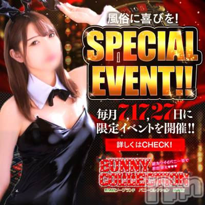 新潟市ソープ 新潟バニーコレクション(ニイガタバニーコレクション)の店舗イメージ2枚目