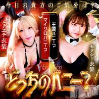 新潟ソープ 新潟バニーコレクション(ニイガタバニーコレクション)の2月21日お店速報「【新】どっちのバニーでSHOW？！」