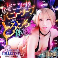 新潟ソープ 新潟バニーコレクション(ニイガタバニーコレクション)の12月19日お店速報「?毎月７日.１７日.２７日◀月に３回だけの スペシャルイベント♪」