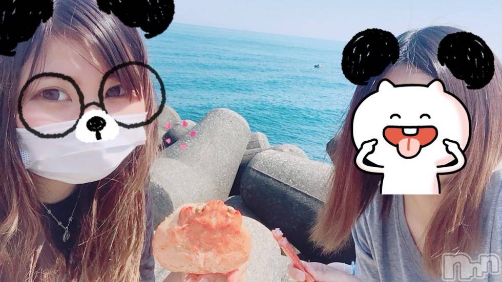 ĥХ顦PremiumRagdoll(ץߥ 饰ɡ) ޤ523ִ̥֥򤷤á