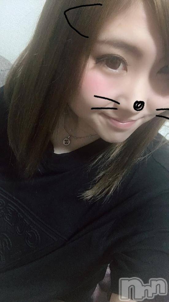 ĥХ顦PremiumRagdoll(ץߥ 饰ɡ) ޤ102̥֥ȱڤä