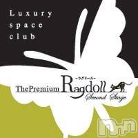 高田にあるキャバクラ・クラブ「Premium　Ragdoll(プレミアム ラグドール)」のキャスト「まゆ」の紹介画像