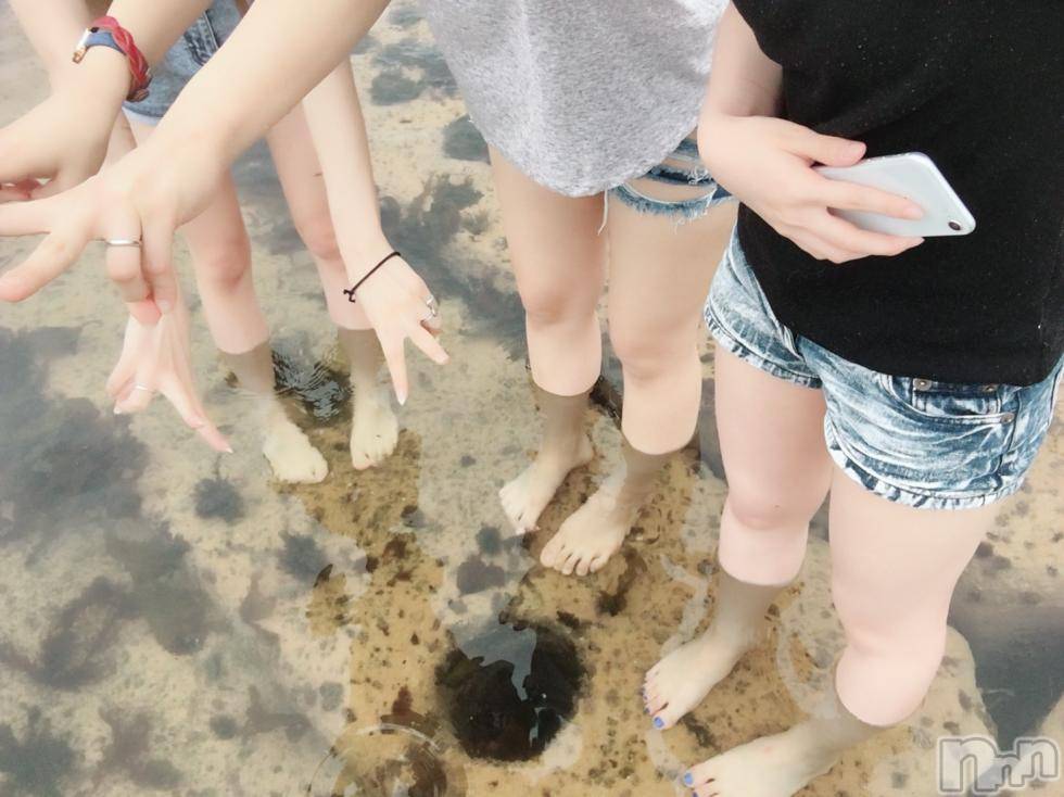 襳ѥ˥󥯥Sugar(奬) ʤĤ66̥֥06,06