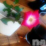 襳ѥ˥󥯥Sugar(奬) ꤳ526ֱ̥֥ư