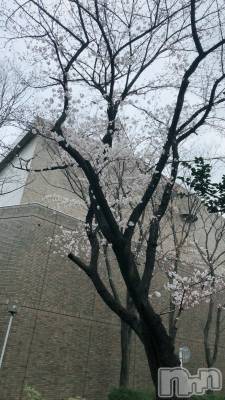 上越デリヘル 上越風俗出張アロママッサージ(ジョウエツフウゾクシュッチョウアロママッサージ) 里穂（リホ）☆(38)の3月28日写メブログ「カミナリすごかった」