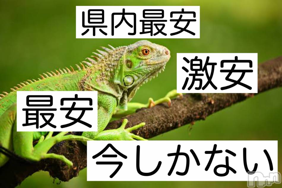 新潟メンズエステ(アリュール)の2021年3月15日お店速報「本日最短でのご案内可能です☆」