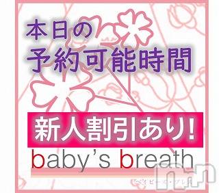 󥺥baby's breath(٥ӡ ֥쥹)  2020ǯ225̥֥2/25 ͽǽ֡