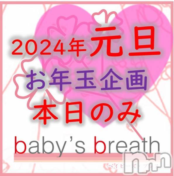㡦ȯĥꥢ󥺥baby's breath(٥ӡ ֥쥹)  2024ǯ11̥֥11κûͽǽ֡