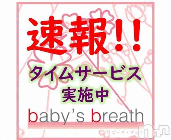 㡦ȯĥꥢ󥺥baby's breath(٥ӡ ֥쥹)  2025ǯ57̥֥21:15ŹǤ🉐