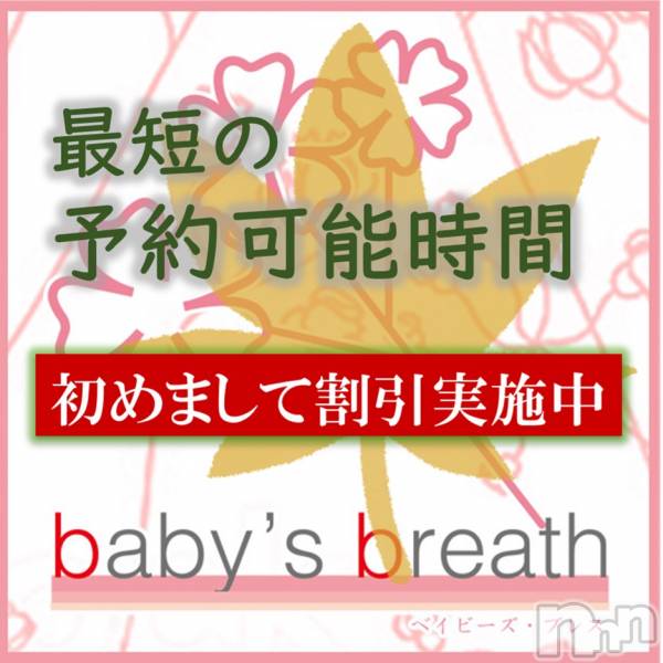 㡦ȯĥꥢ󥺥baby's breath(٥ӡ ֥쥹)  2025ǯ1010̥֥10/10 本日の最短予約可能時間