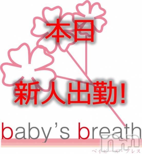 󥺥baby's breath(٥ӡ ֥쥹)  2018ǯ1016̥֥1017ʿ˽жо