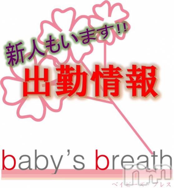 󥺥baby's breath(٥ӡ ֥쥹)  2018ǯ1217̥֥1217ʷ˽жо