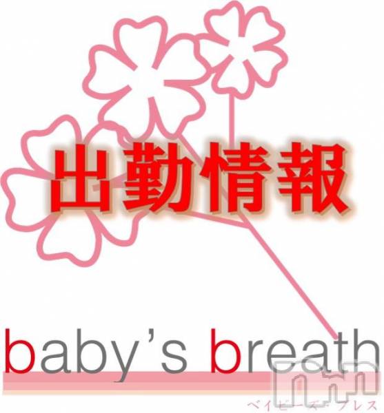 󥺥baby's breath(٥ӡ ֥쥹)  2019ǯ117̥֥117(ڡ˽жо