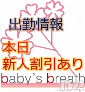 󥺥baby's breath(٥ӡ ֥쥹)  2019ǯ324̥֥324˽жо