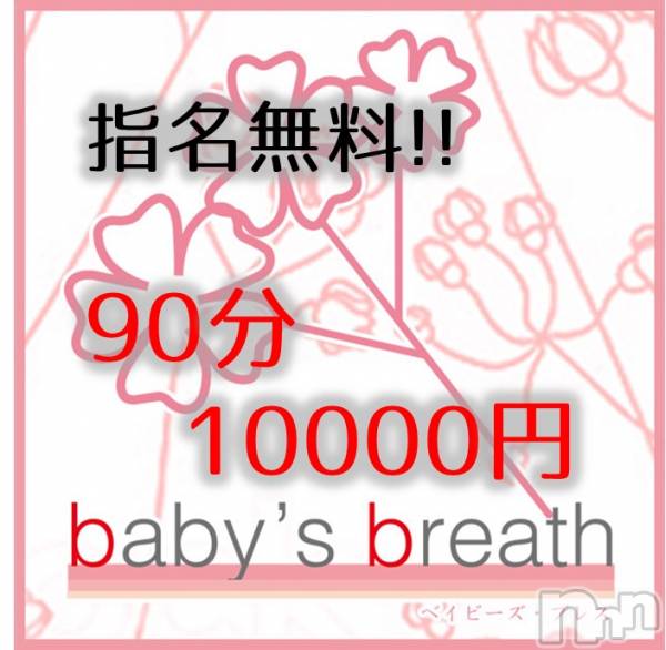 󥺥baby's breath(٥ӡ ֥쥹)  2019ǯ520̥֥520ʷ˽жо