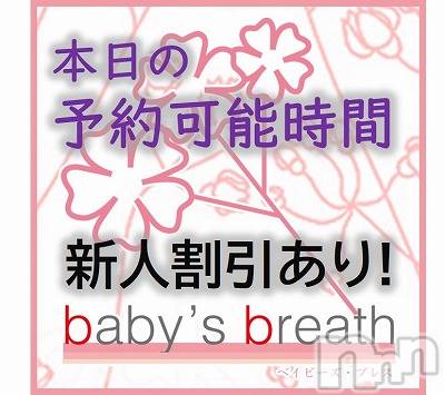 󥺥baby's breath(٥ӡ ֥쥹)  2019ǯ818̥֥8/18 ͽǽ֡