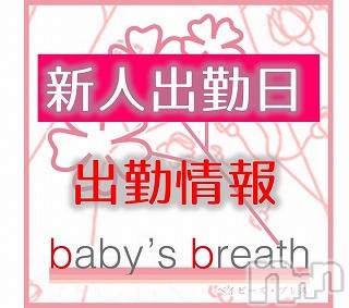 󥺥baby's breath(٥ӡ ֥쥹)  2020ǯ223̥֥223˽жо
