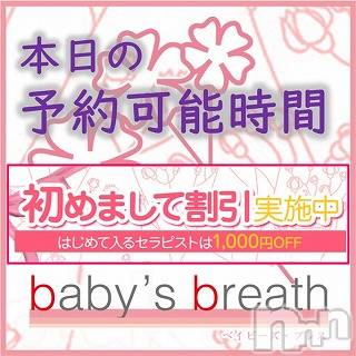 󥺥baby's breath(٥ӡ ֥쥹)  2021ǯ614̥֥6/14κûͽǽ֡