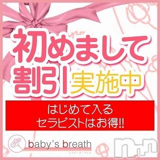 㡦ȯĥꥢ󥺥baby's breath(٥ӡ֥쥹)  2023ǯ119̥֥119ڡ˽жо