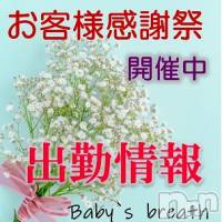 新潟メンズエステ baby's breath(ベイビーズブレス)の2月20日お店速報「2月20日（金）出勤情報」