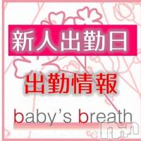 新潟メンズエステ baby's breath(ベイビーズブレス)の1月20日お店速報「1月20日（月）出勤情報」
