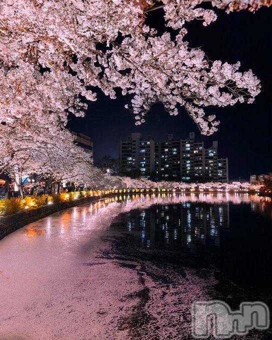 新潟ソープ新潟バニーコレクション(ニイガタバニーコレクション)ナナ(27)の2026年4月5日写メブログ「どうも。」