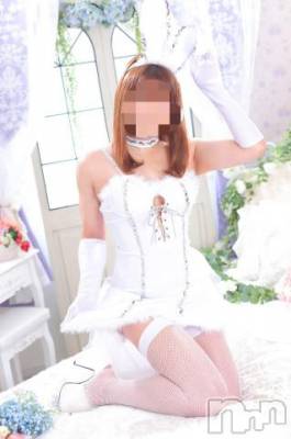 新潟ソープ 新潟バニーコレクション(ニイガタバニーコレクション) ナナ(27)の1月3日写メブログ「三が日」