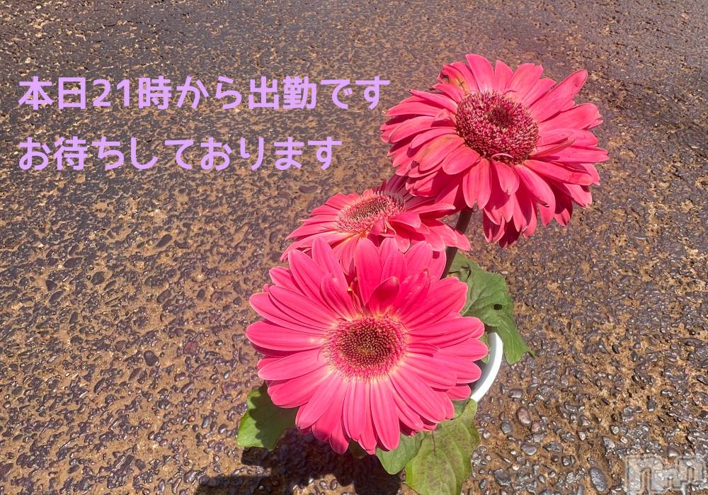 三条人妻デリヘル人妻じゅんちゃん-出稼ぎ0！地元の奥様専門-(ヒトヅマジュンチャン) 矢澤はなよ(33)の5月16日写メブログ「5/16の日記」
