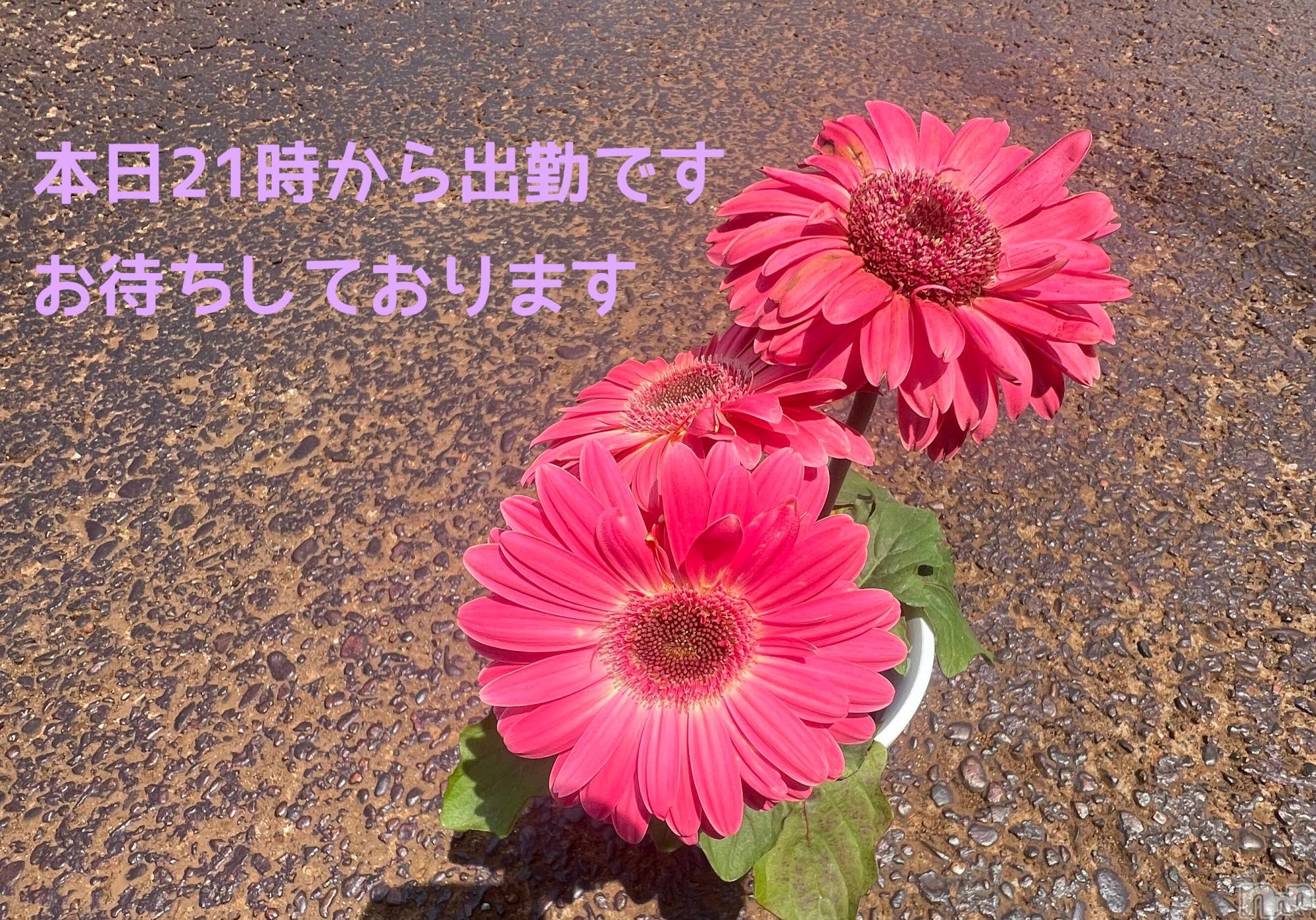 三条人妻デリヘル人妻じゅんちゃん-出稼ぎ0！地元の奥様専門-(ヒトヅマジュンチャン)矢澤はなよ(33)の2025年5月16日写メブログ「5/16の日記」