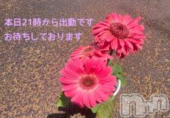 三条人妻デリヘル人妻じゅんちゃん-出稼ぎ0！地元の奥様専門-(ヒトヅマジュンチャン) 矢澤はなよ(33)の5月16日写メブログ「5/16の日記」