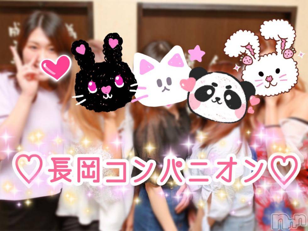 Ĺ�����������襳��ѥ˥��󥯥��Ĺ������ѥ˥��󥯥�� UP -���å�-(�ʥ���������ѥ˥��󥯥�֥��å�) ������������夲����6��17���̥�֥����ֻ��ƥ��ե���å�2������