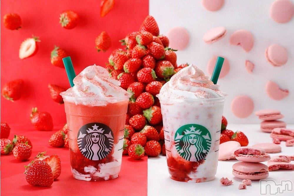 Ĺ襳ѥ˥󥯥Ĺѥ˥󥯥 UP -å-(ʥѥ˥󥯥֥å) 夲411̥֥֤ΤŹ®