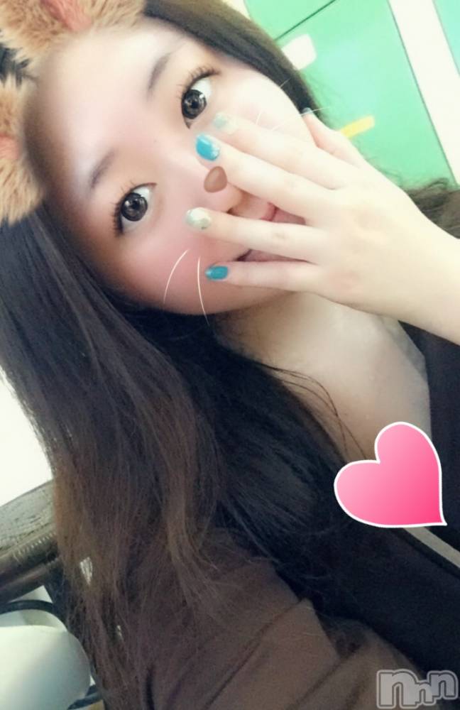 Ĺ襳ѥ˥󥯥Ĺѥ˥󥯥 UP -å-(ʥѥ˥󥯥֥å) 夲65̥֥֤󤿤