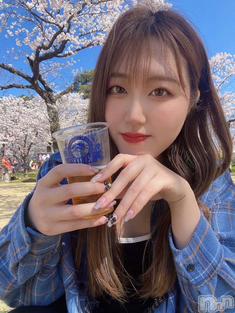 Ĺ襳ѥ˥󥯥Ĺѥ˥󥯥 UP -å-(ʥѥ˥󥯥֥å) 夲412̥֥֥ӡߤ褿