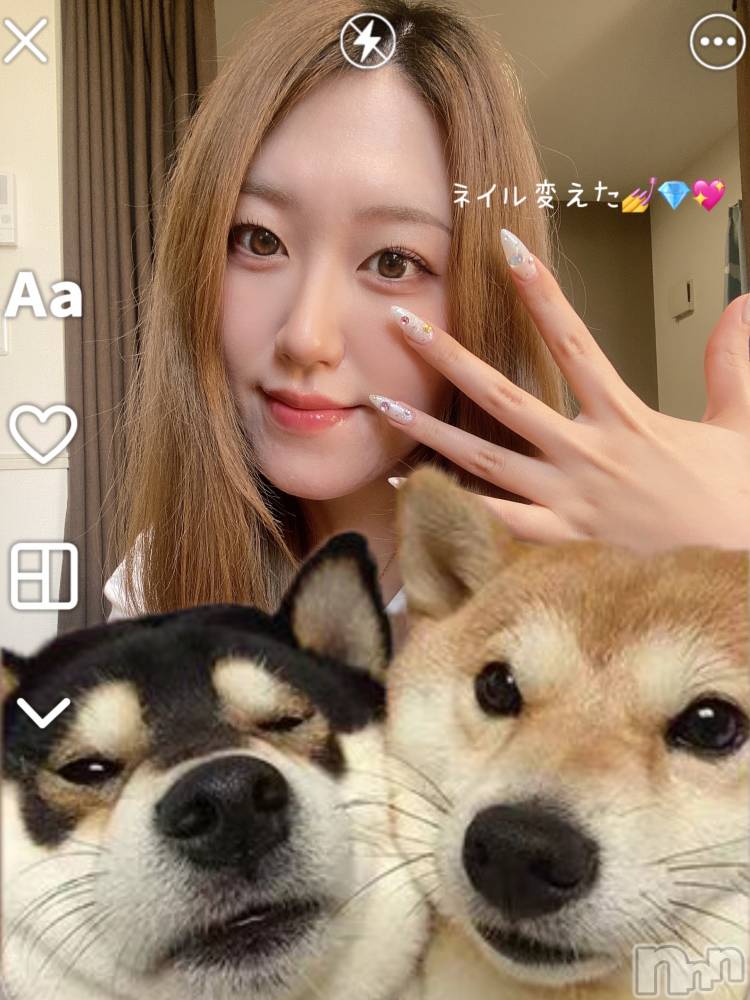 Ĺ�����������襳��ѥ˥��󥯥��Ĺ������ѥ˥��󥯥�� UP -���å�-(�ʥ���������ѥ˥��󥯥�֥��å�) ������������夲����5��5���̥�֥����֎��ޡ�������������