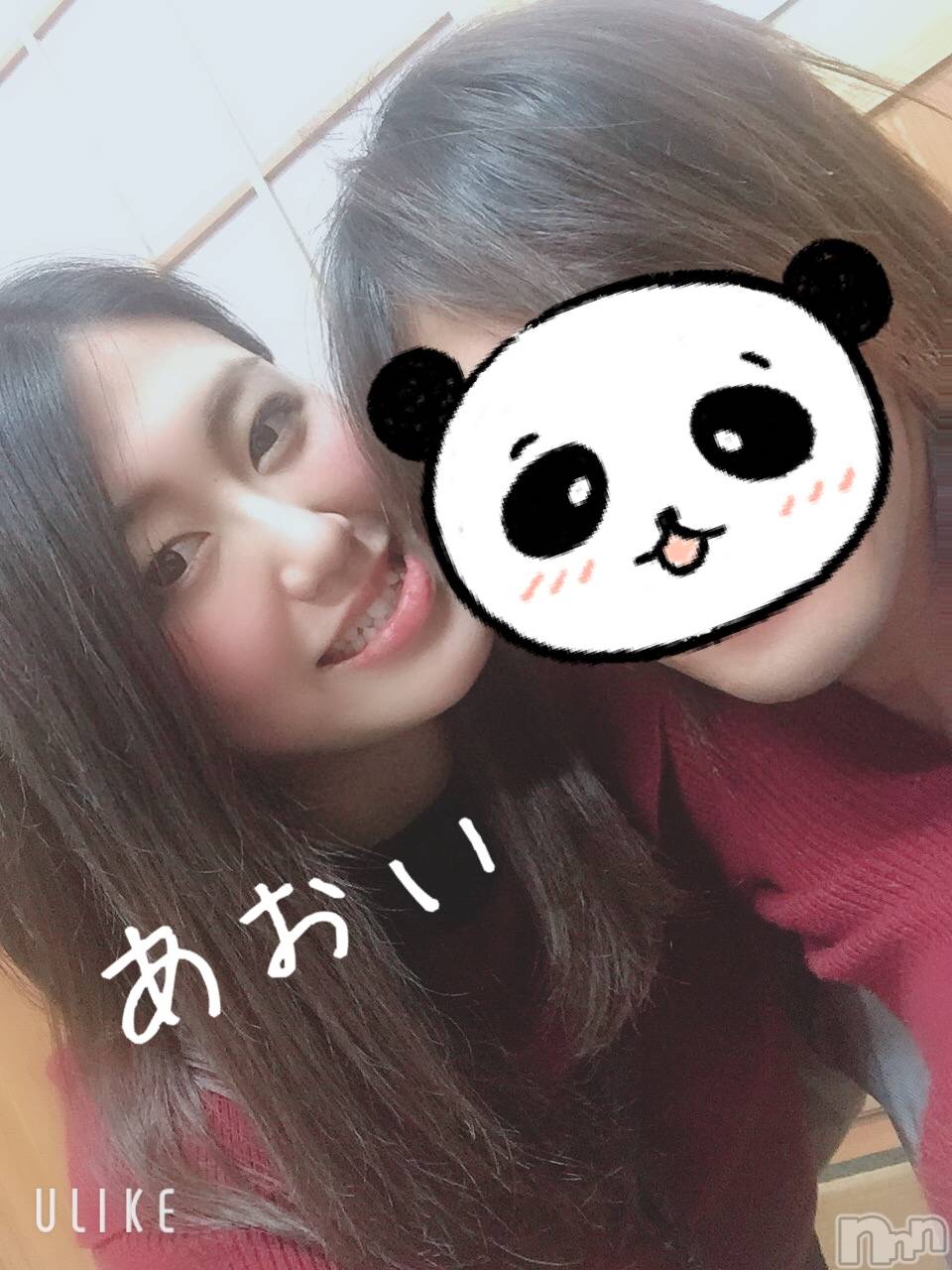 Ĺ襳ѥ˥󥯥Ĺѥ˥󥯥 UP -å-(ʥѥ˥󥯥֥å) 2019ǯ425̥֥֥ϽλҤ顩