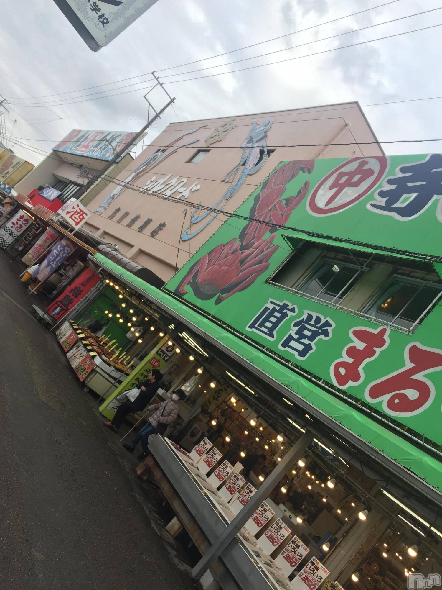 Ĺ襳ѥ˥󥯥Ĺѥ˥󥯥 UP -å-(ʥѥ˥󥯥֥å) 2019ǯ1112̥֥֤礤200ߡ