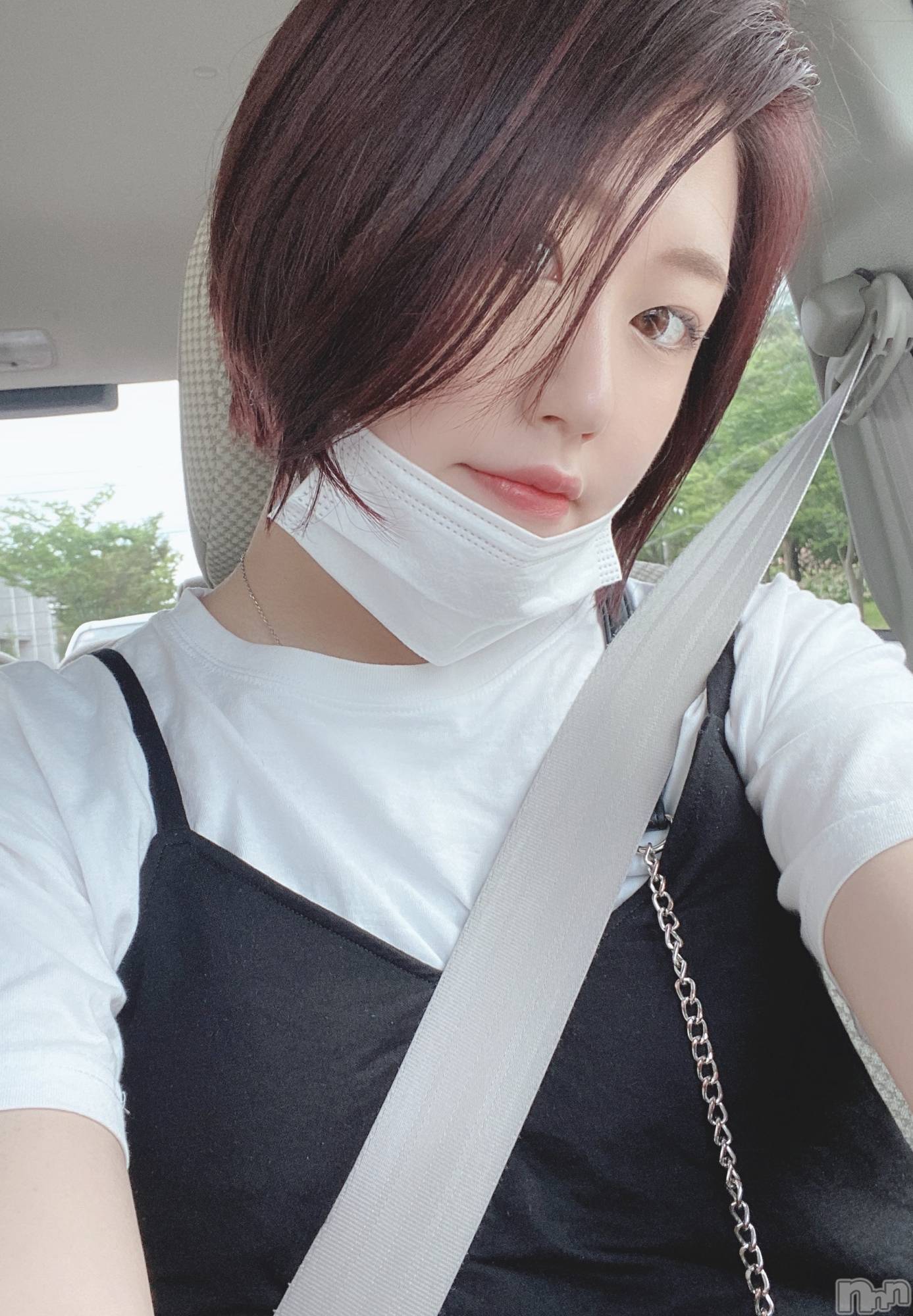 Ĺ襳ѥ˥󥯥Ĺѥ˥󥯥 UP -å-(ʥѥ˥󥯥֥å) 2020ǯ729̥֥֤ԥĹ