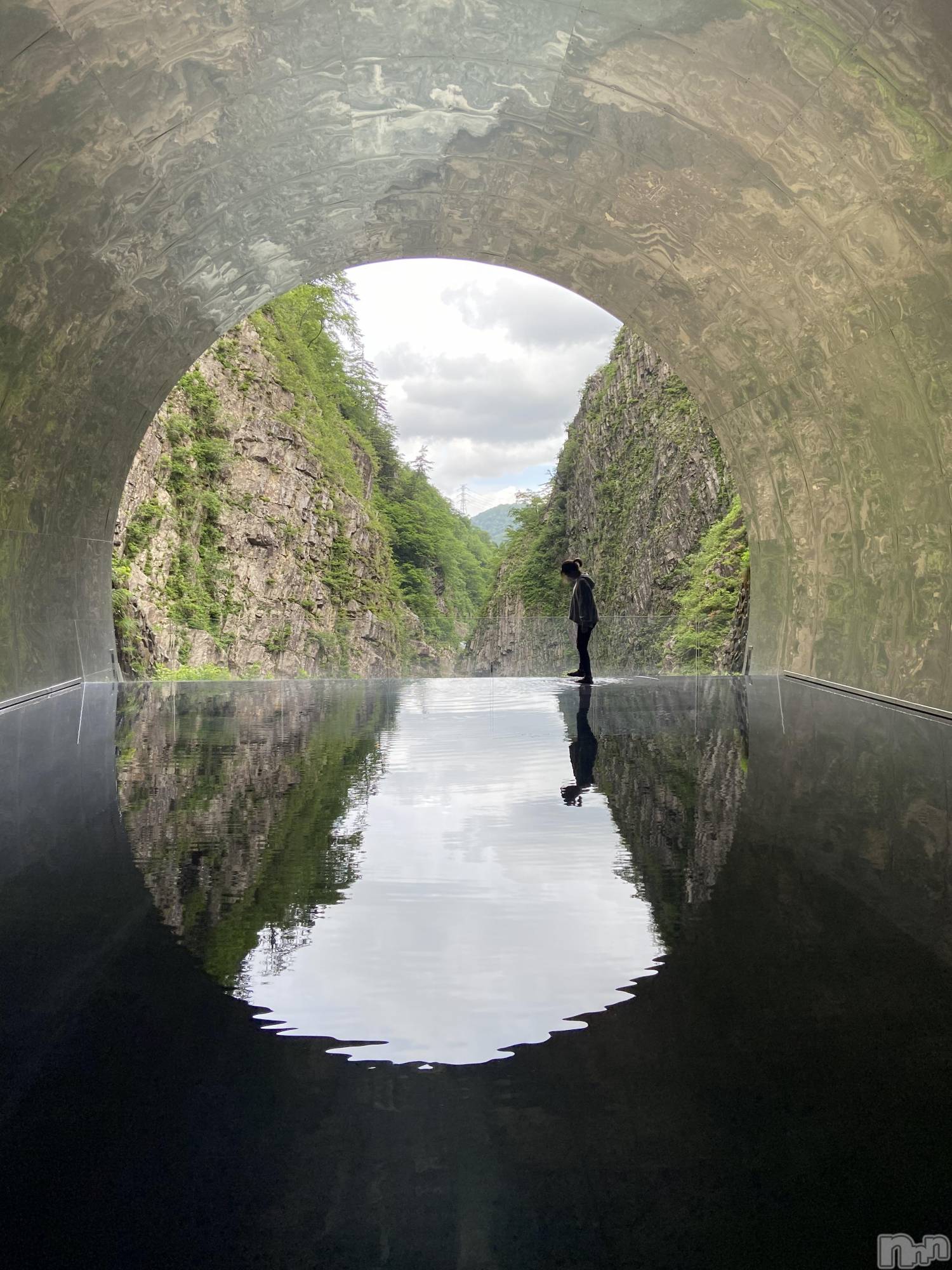 Ĺ襳ѥ˥󥯥Ĺѥ˥󥯥 UP -å-(ʥѥ˥󥯥֥å) 2021ǯ527̥֥֥ѥ㡼